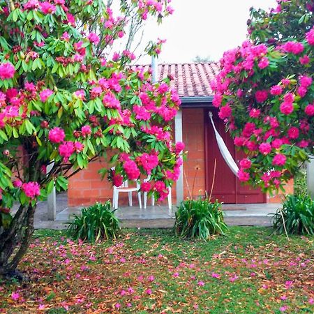 Recanto Da Natureza, Chale Goncalves Luaran gambar