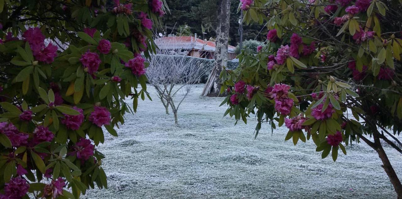 Recanto Da Natureza, Chale Goncalves Luaran gambar