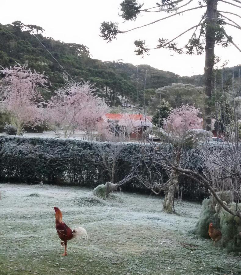 Recanto Da Natureza, Chale Goncalves Luaran gambar